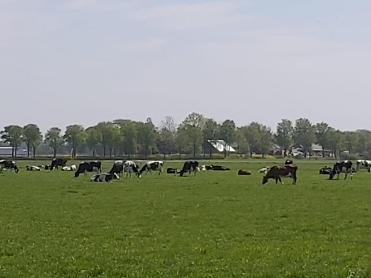 Luxe Gastenverblijf In Het Hart Van Friesland Akkrum Exterior photo